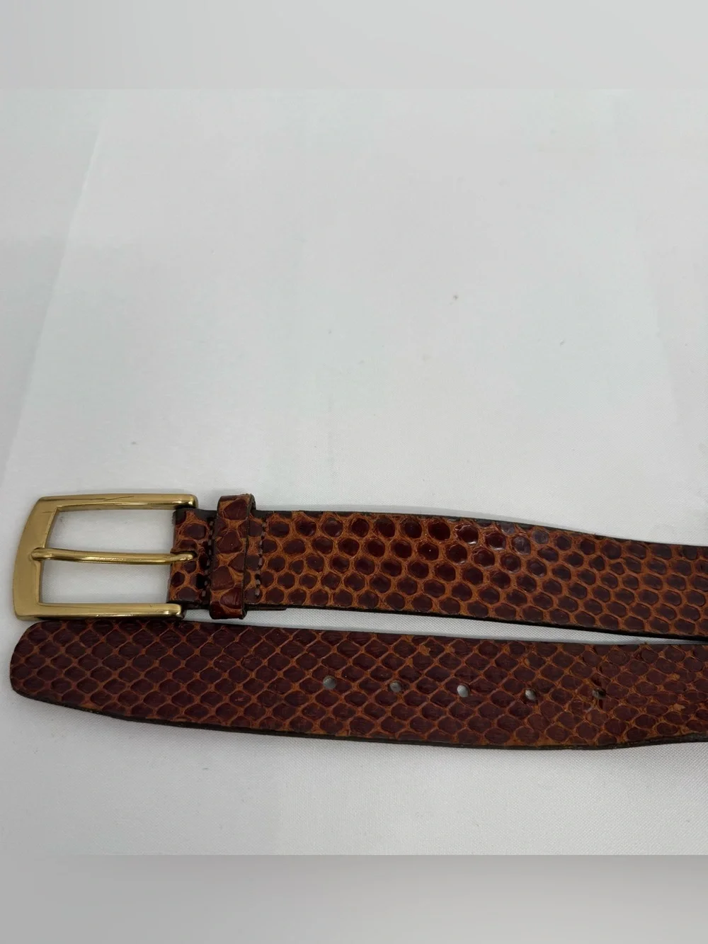 Trafalgar Size 42 Amazona Anaconda Belt Snakeskin Dress Brown Made in USA